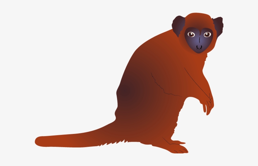 Bamboo Lemur, transparent png #1203352