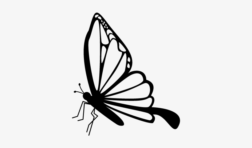 Butterfly Side View Vector - Butterfly Side View Drawing, transparent png #1203584