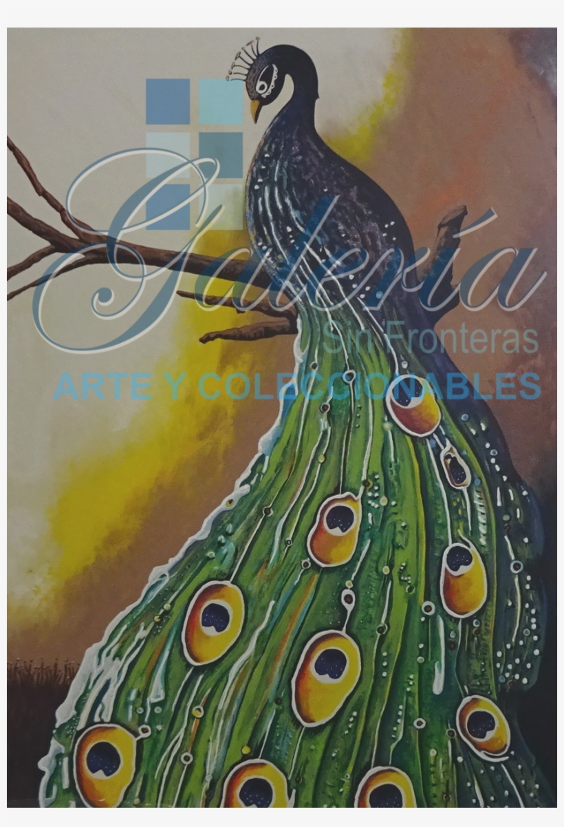 Ill - Peafowl, transparent png #1203905