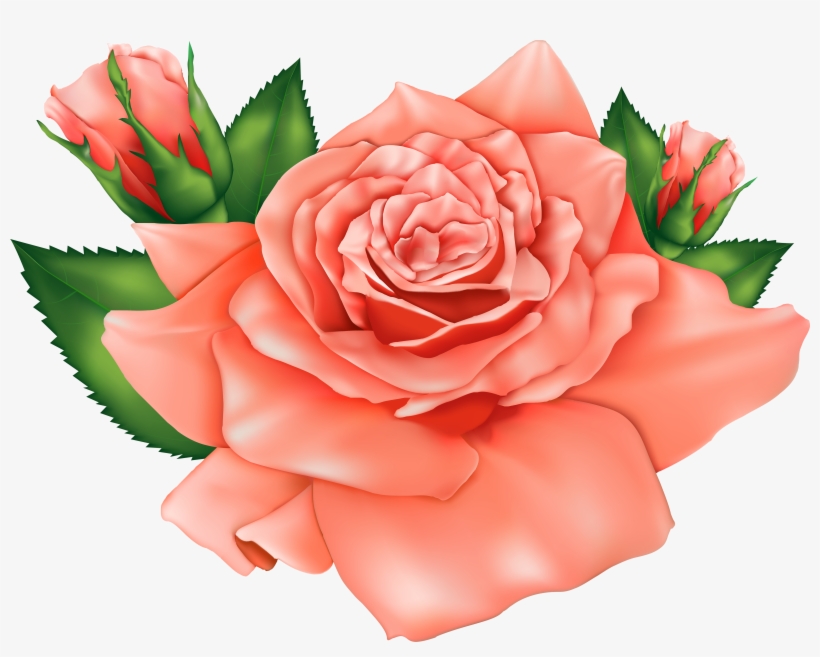 Peach Flower Clipart Orange - Orange Rose Png Clipart, transparent png #1205374