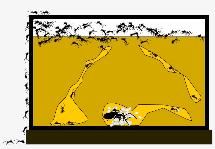 This Free Icons Png Design Of Ant Farm, transparent png #1206120