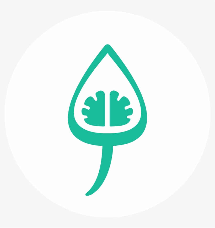 Docady Israel Ltd., transparent png #1206223