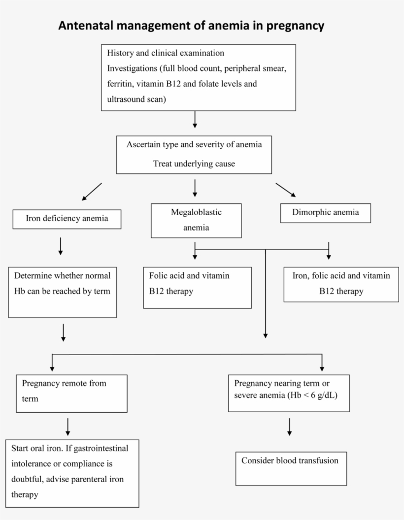 Effects Of Anemia In Pregnancy - Management Of Anaemia In Pregnancy, transparent png #1206696