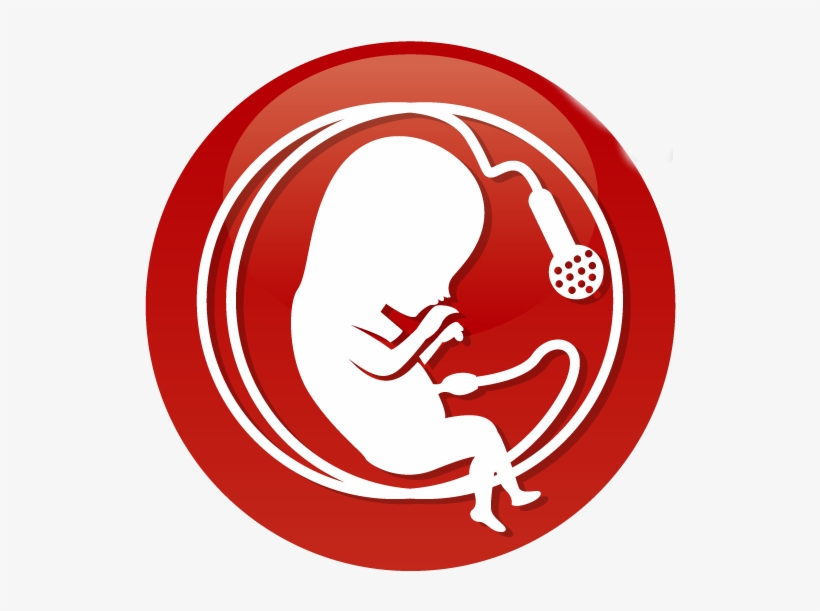 Violinist Analogy, transparent png #1206739