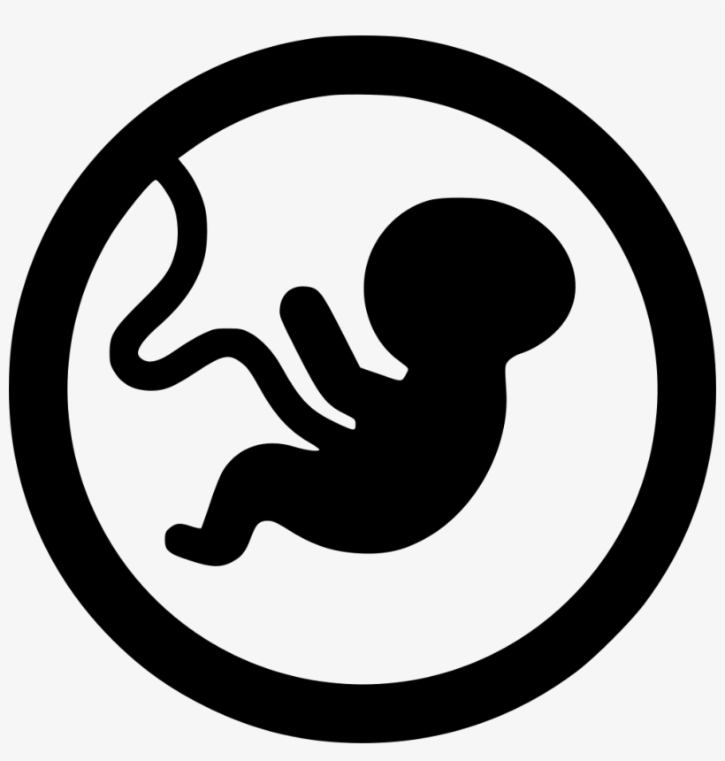 Free Download Embryo Transparent Clipart Embryo Fetus - Fetus, transparent png #1206890