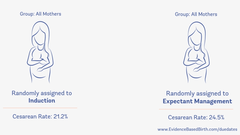 5%), Even After Taking Into Account Whether This Was - Drawing, transparent png #1207015