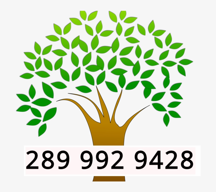 20% Off Tree Removal - Tree Logo Vector Png, transparent png #1207077