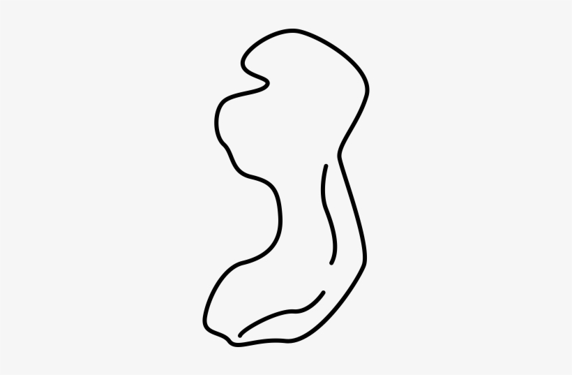 Line Art, transparent png #1207129