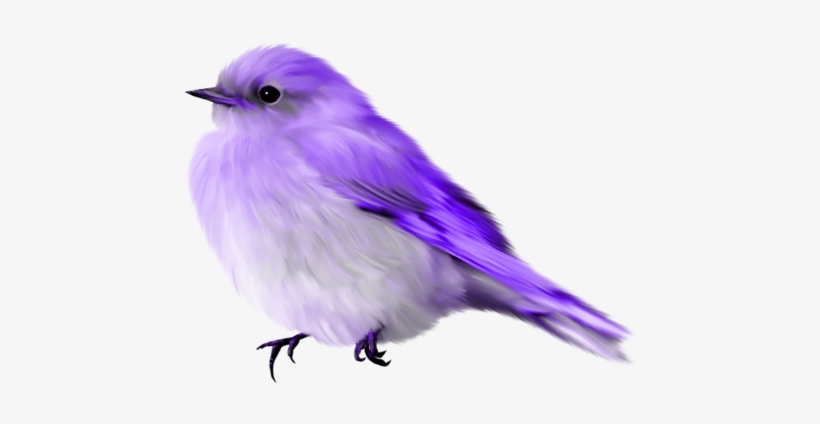 Album - Blue Bird Gif Transparent, transparent png #1207902