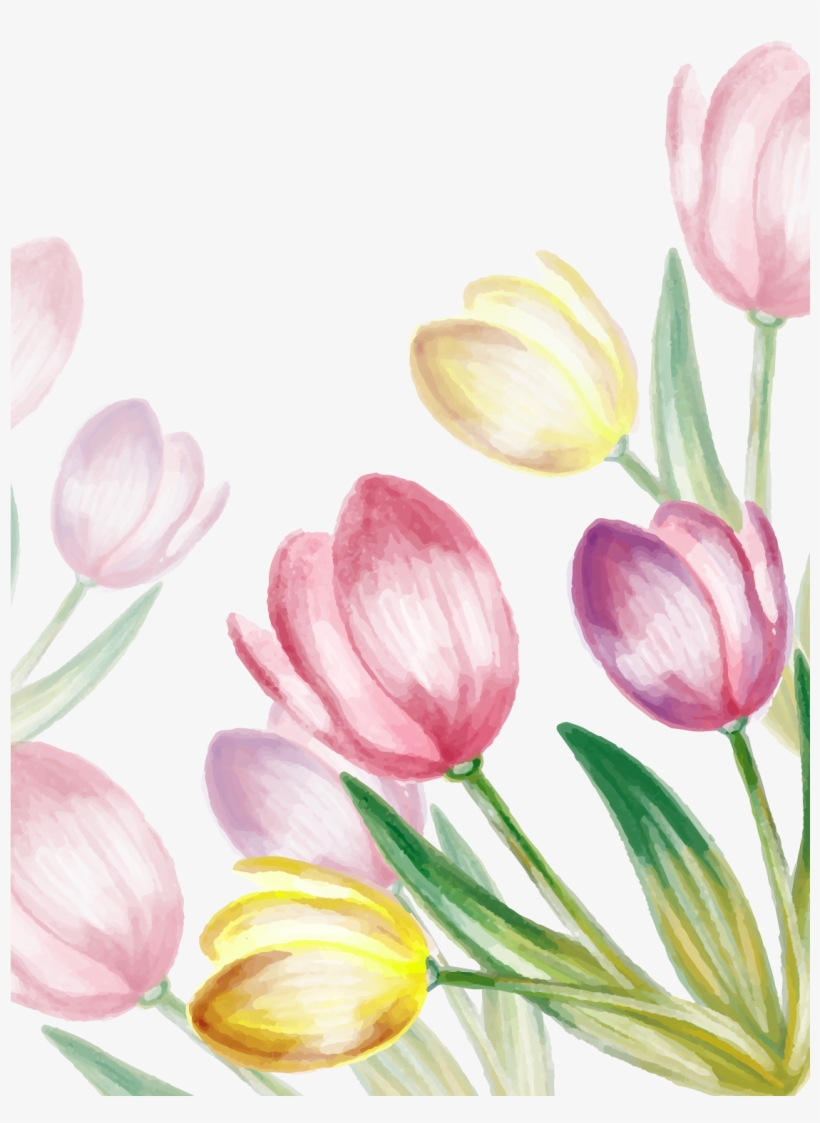 Water Painted Tulip Vector - Tulips Free Vector, transparent png #1208816