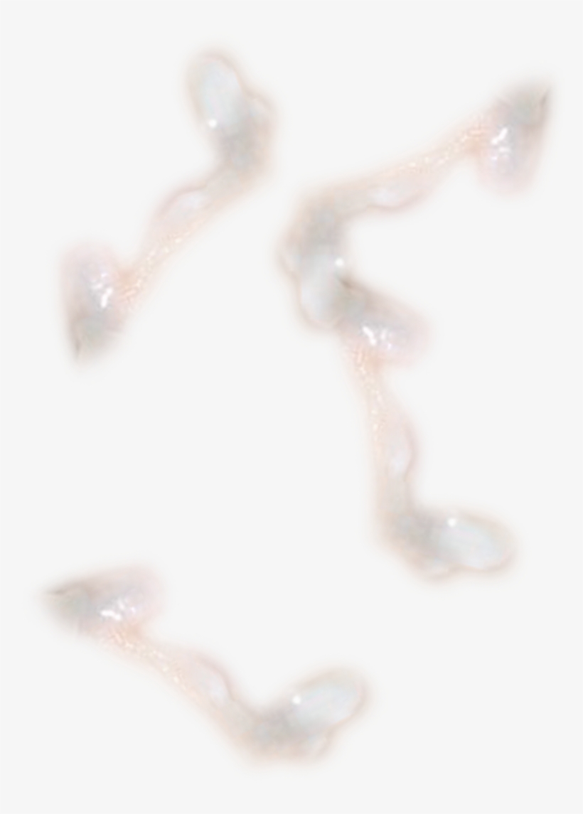561 Kb Png - Tan, transparent png #1209389