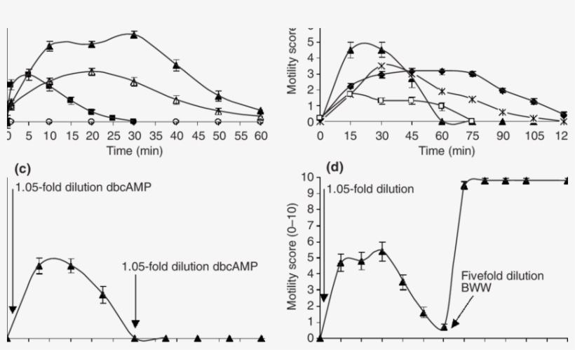 Activation Of Sperm Motility In 1 L Of Semen From The - Semen, transparent png #1209605