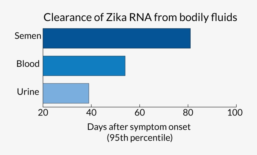 Transparent Semen Clear - Number, transparent png #1210135