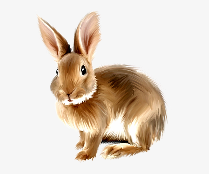 Rabbit Png, Bunny Rabbit, Rabbit Clipart, Baby Bunnies, - Rabbit Png Clipart, transparent png #1210248