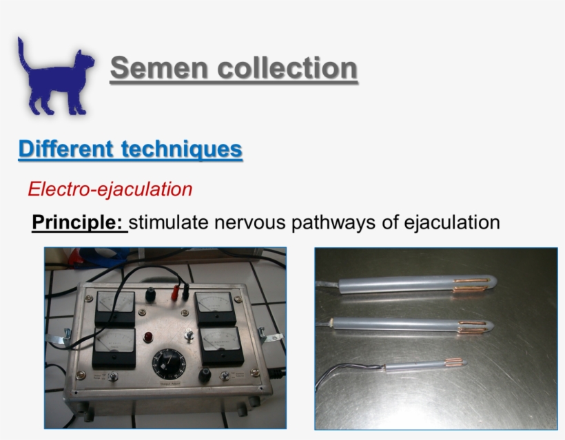 Few Things About The Cat Ejaculate - Machine, transparent png #1210327