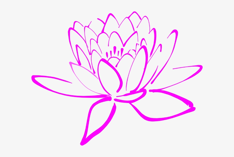 Pink Lotus Clip Art At Clker - Lotus Png Black N White, transparent png #1210503