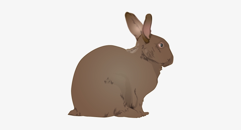 Rabbit Clipart Realistic - Rabbit Clip Art, transparent png #1210878