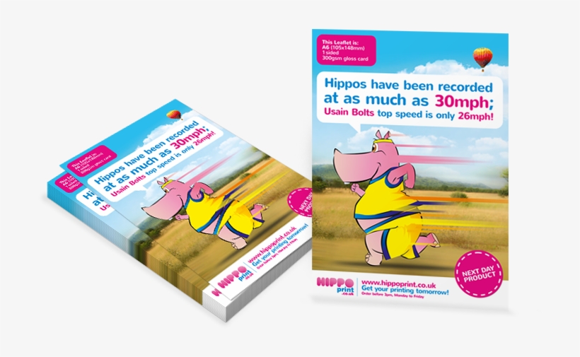 Next Day Leaflets Next Day Leaflets - Leaflet And Flyers Png, transparent png #1210940