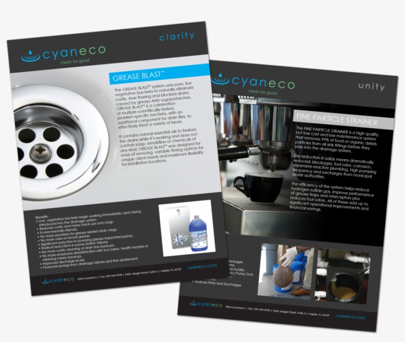 Cyaneco Flyers, transparent png #1211475