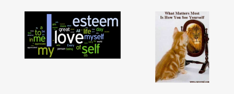 Perception Versus Reality, transparent png #1211561