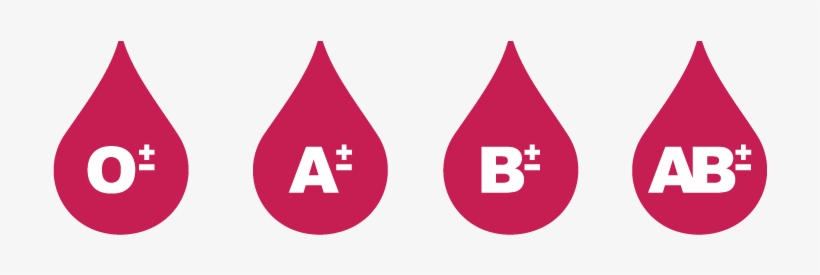 Tipos De Sangre - Blood Type, transparent png #1211902