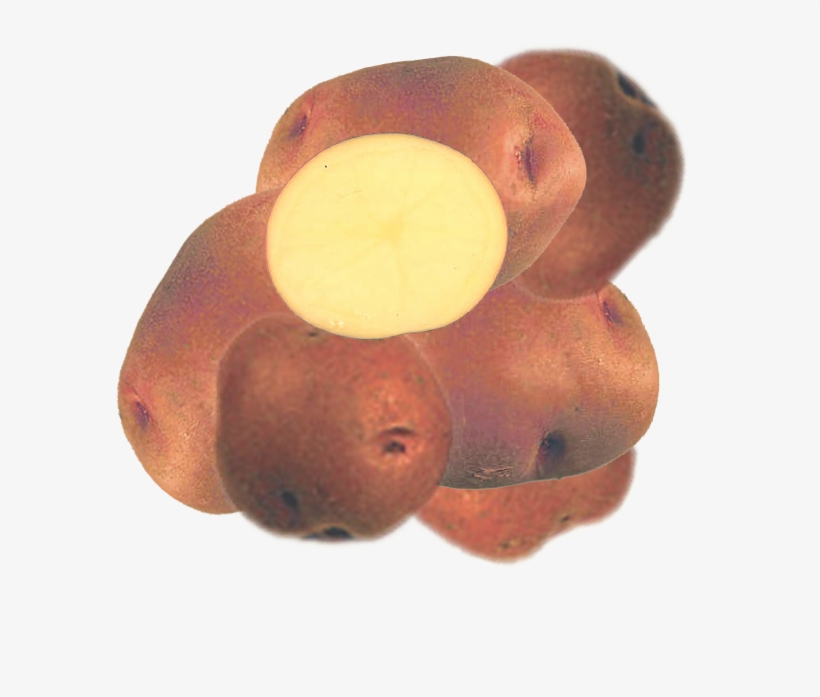 Sangre - Potato, transparent png #1212152