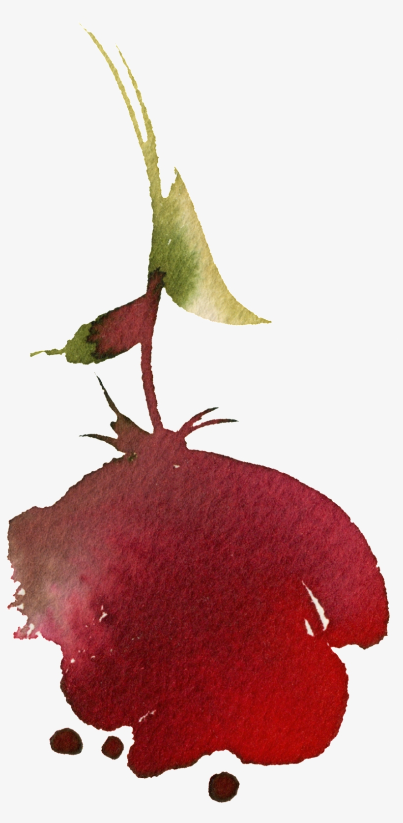 Pintado A Mano De La Flor Png Transparente Png Manchado - Flower, transparent png #1212180