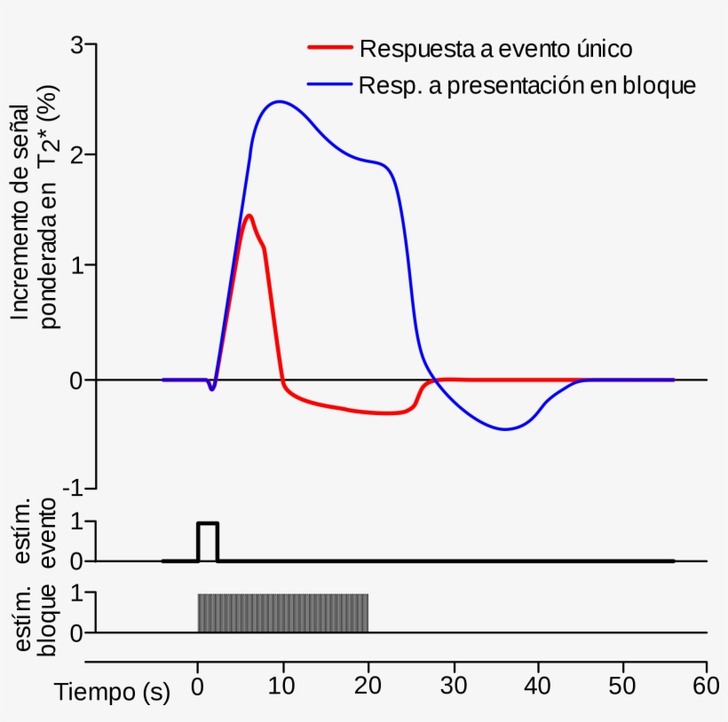 Open - Desoxihemoglobina Y Oxihemoglobina Stryer, transparent png #1212395