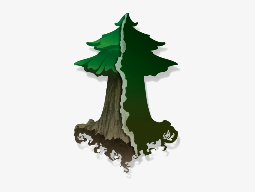 Graphic Design, transparent png #1212466