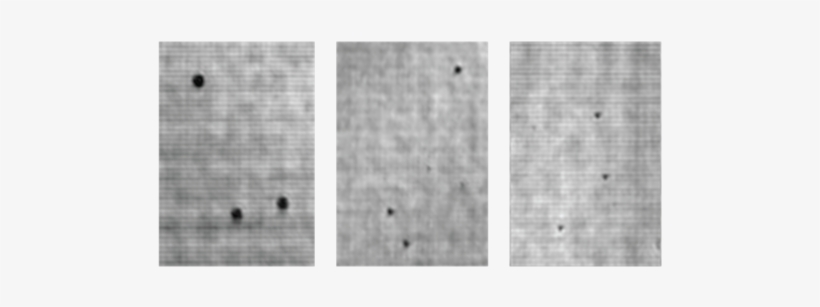 Holographic Reconstruction Of 40µm , 20µm (middle) - Monochrome, transparent png #1212672