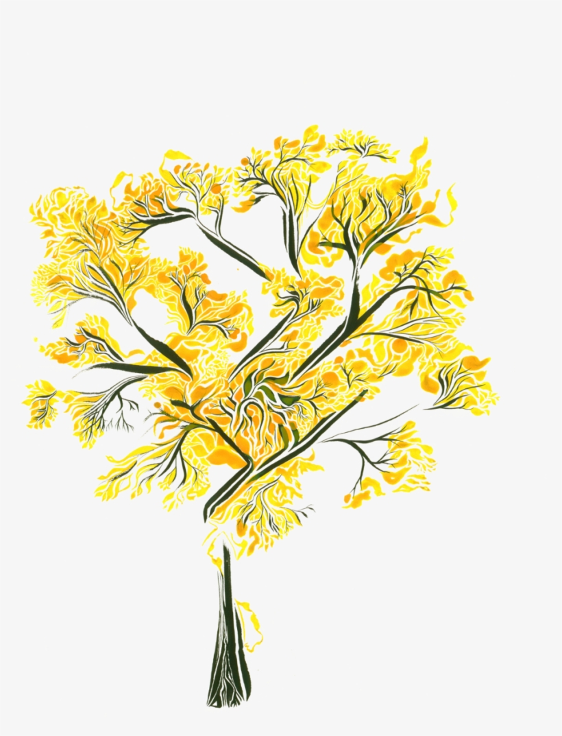 Matter And Energy Share A Relationship Via Charged - Matter, transparent png #1212833