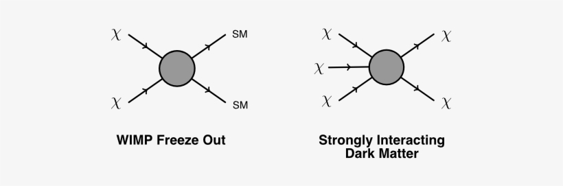 Two Ways For A New Particle, X, To Produce The Observed - Dark Matter Self Annihilation, transparent png #1213131