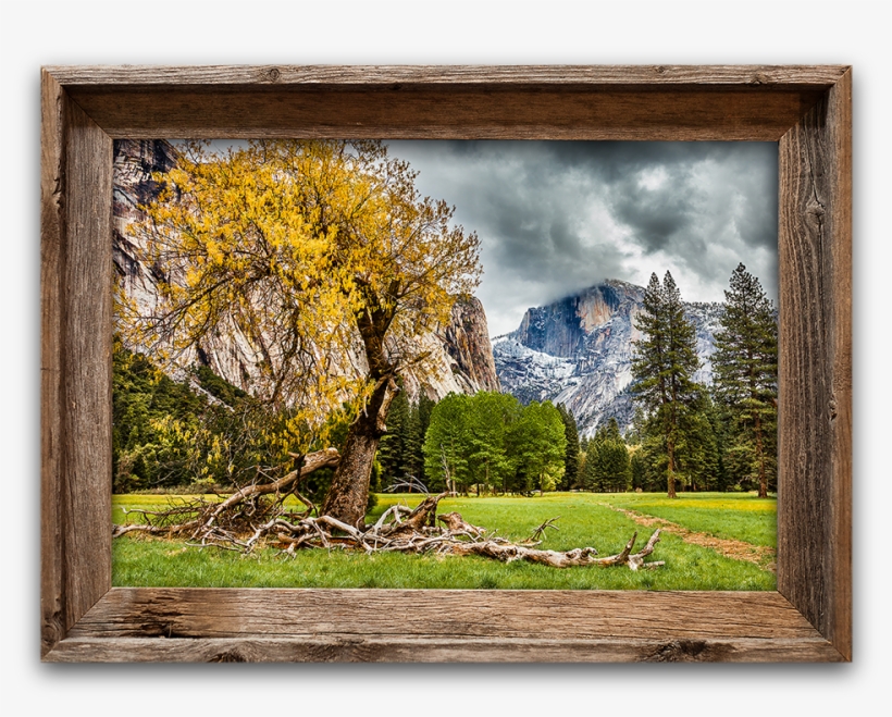 Half Dome Meadow, Yosemite Canvas Print In Barnwood, transparent png #1213613