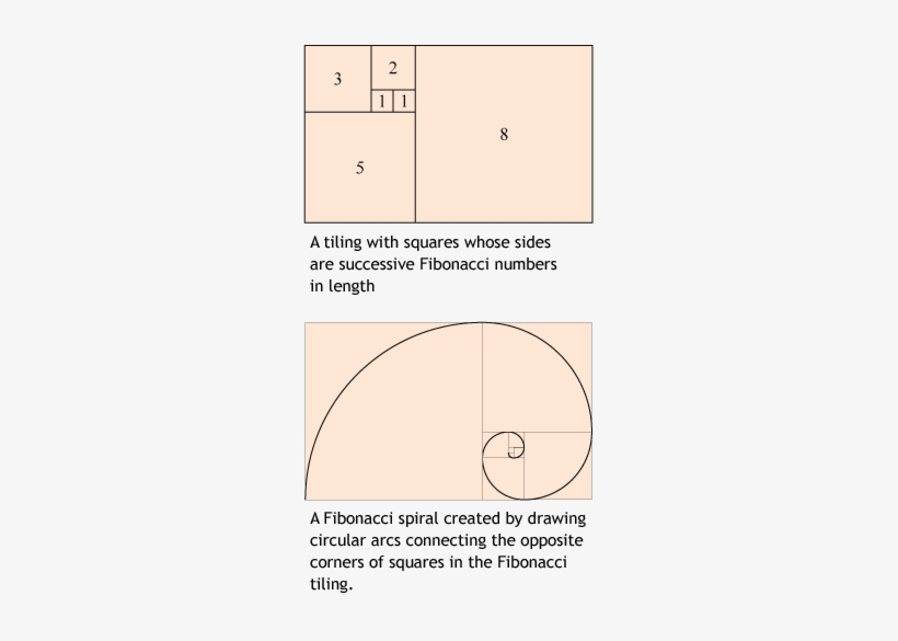 Golden Ratio In Logo Designs - Golden Ratio, transparent png #1214461