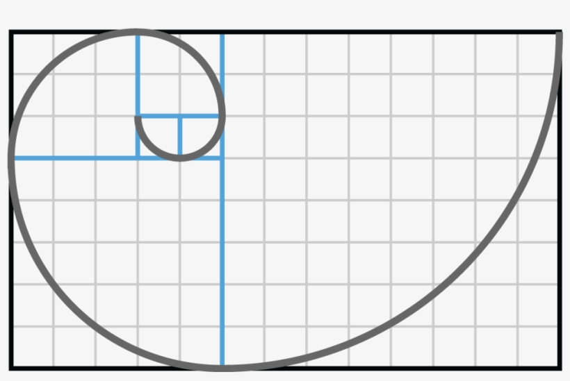 This Shape Is Called The Fibonacci Spiral And Approximates - Circle, transparent png #1214762