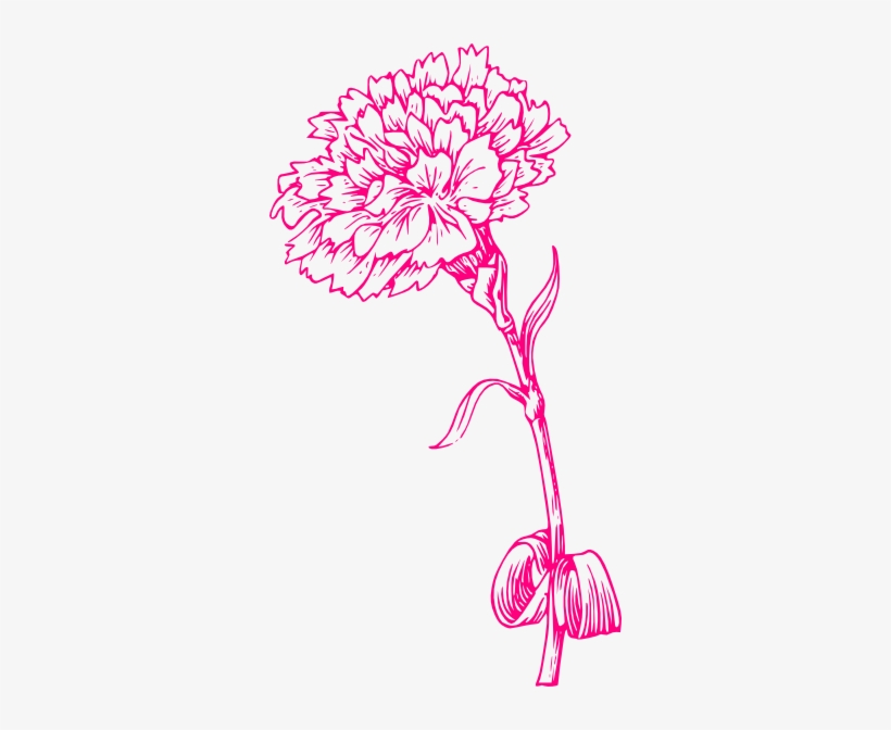 Carnation Clipart Pink Carnation - Marigold Flower Black And White, transparent png #1215162