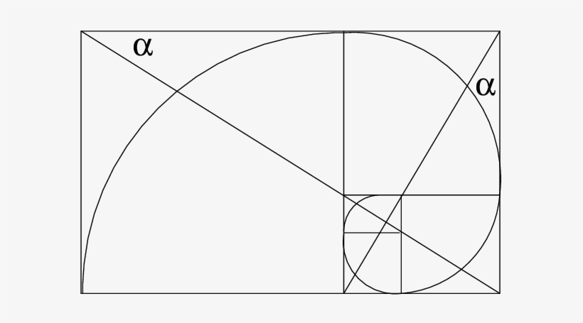 The Golden Logarithmic Spiral - Circle, transparent png #1215189