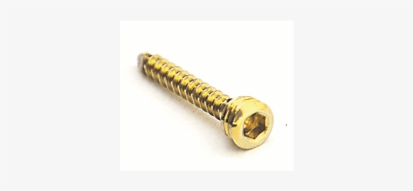 A Locking Screw With Hexagonal Head Slot - Bone Screws, transparent png #1217287