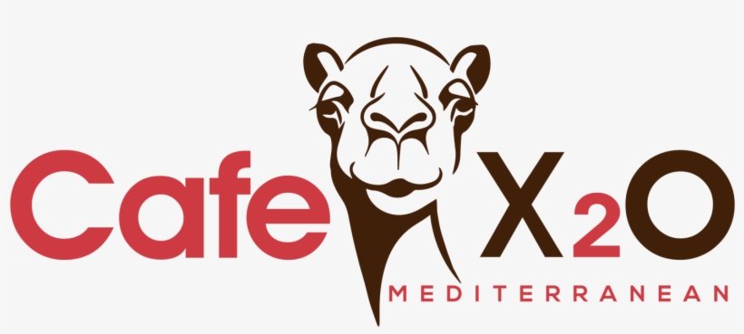 Cafe X2o Ribbon Cutting Ceremony - Camel Pink Decorative Pillow At Hautelook - Home Decor, transparent png #1217342