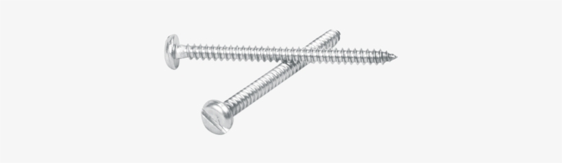 Screw Png Background Image - Slotted Pan Head Self Tapping Ss 304 Screw, transparent png #1217704