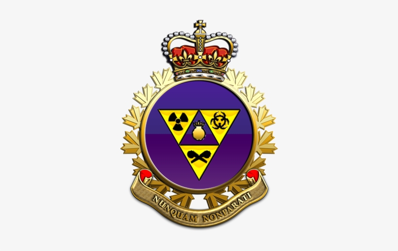 Cf %5bjnbcd Coy%5d Cjiru Badge %5b1 - Canadian Forces Military Police Logo, transparent png #1218782