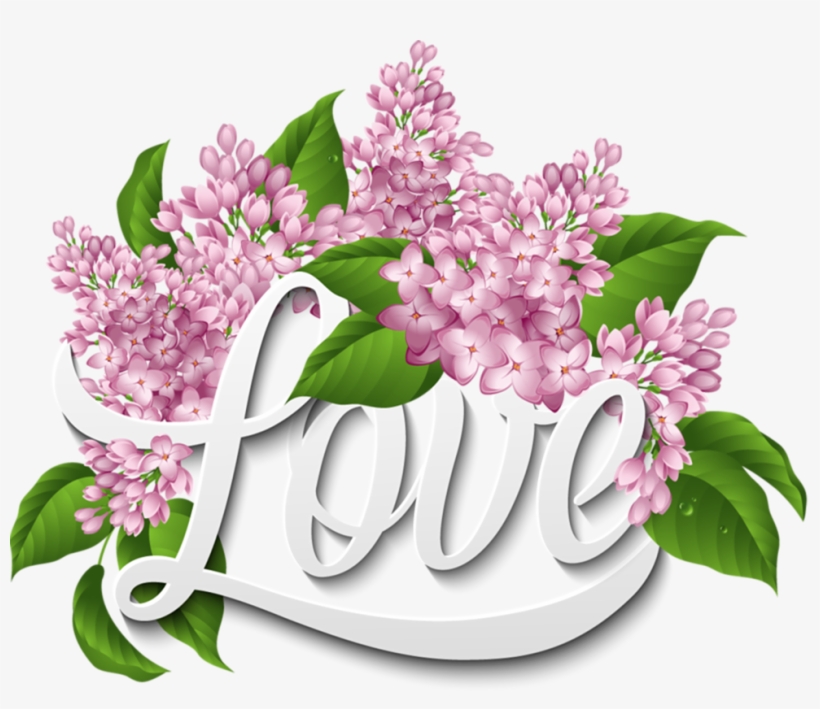 More Information - Vector Graphics, transparent png #1220000