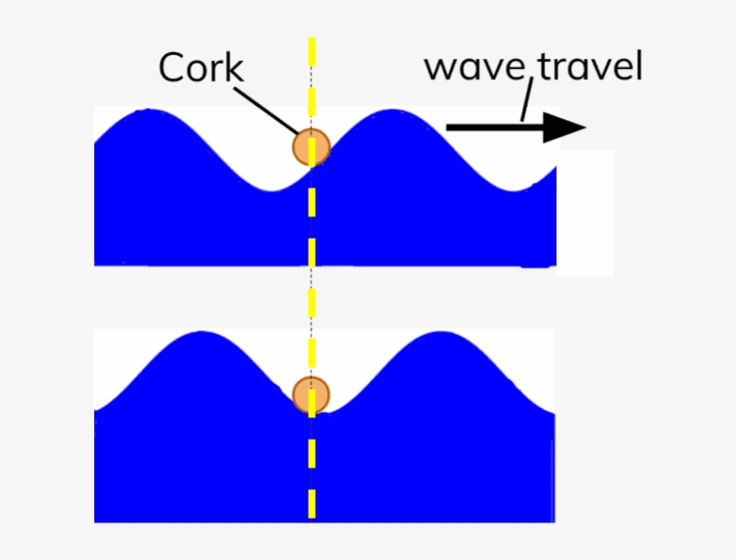Diagram Showing Transverse Water - Wave, transparent png #1220852