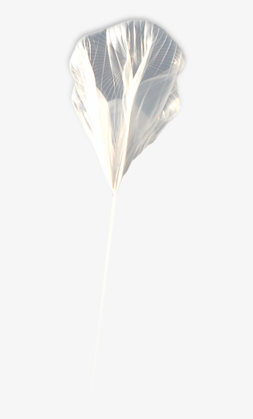 From The Public To The Gurus Of Aerospace, Most People - Light, transparent png #1221461