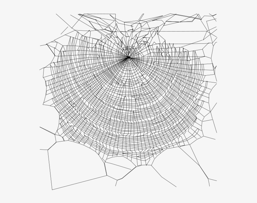 Spiders Web Biomimicry Eye - Spinnennetze Transparent, transparent png #1221694