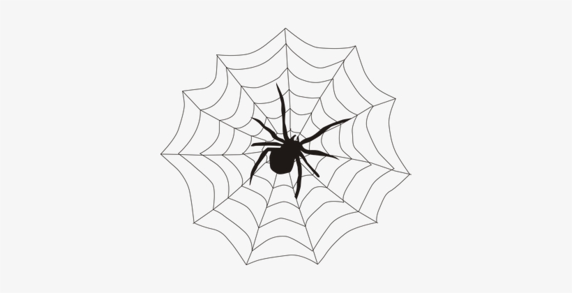 Spider Spider's Web Spiderweb Cobweb Creep - Spider On A Web, transparent png #1221730
