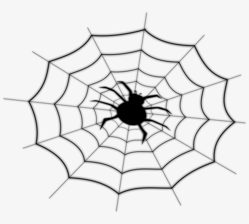 Spider On Spider Net - Custom Spider Web Shower Curtain - Free Transparent  PNG Download - PNGkey