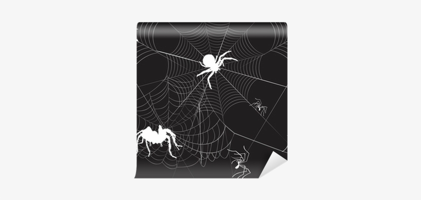 Spider, transparent png #1222205