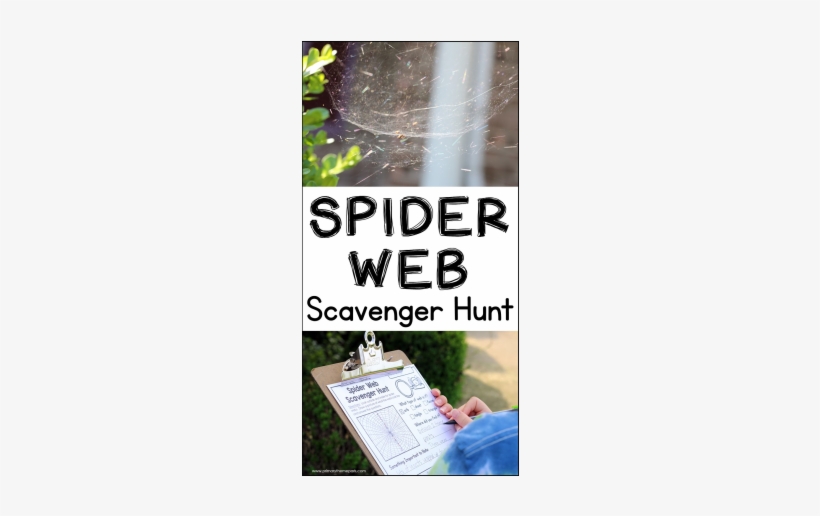 Spider Web Scavenger Hunt - Spider Web, transparent png #1222285