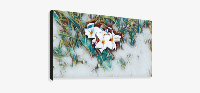 Greek Temples In Sicily Canvas Print - Giant White Arum Lily, transparent png #1224326